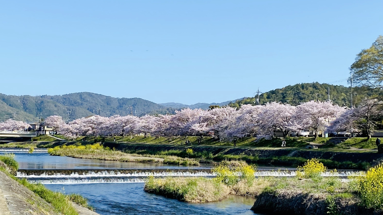 FIREを目指す理由と、わたしなりのゴール